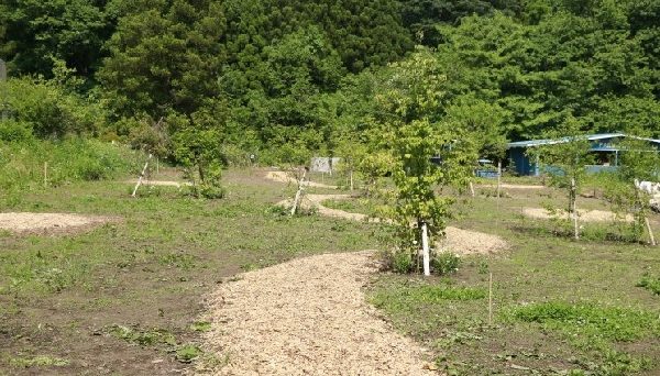 非電化工房キャンプ場